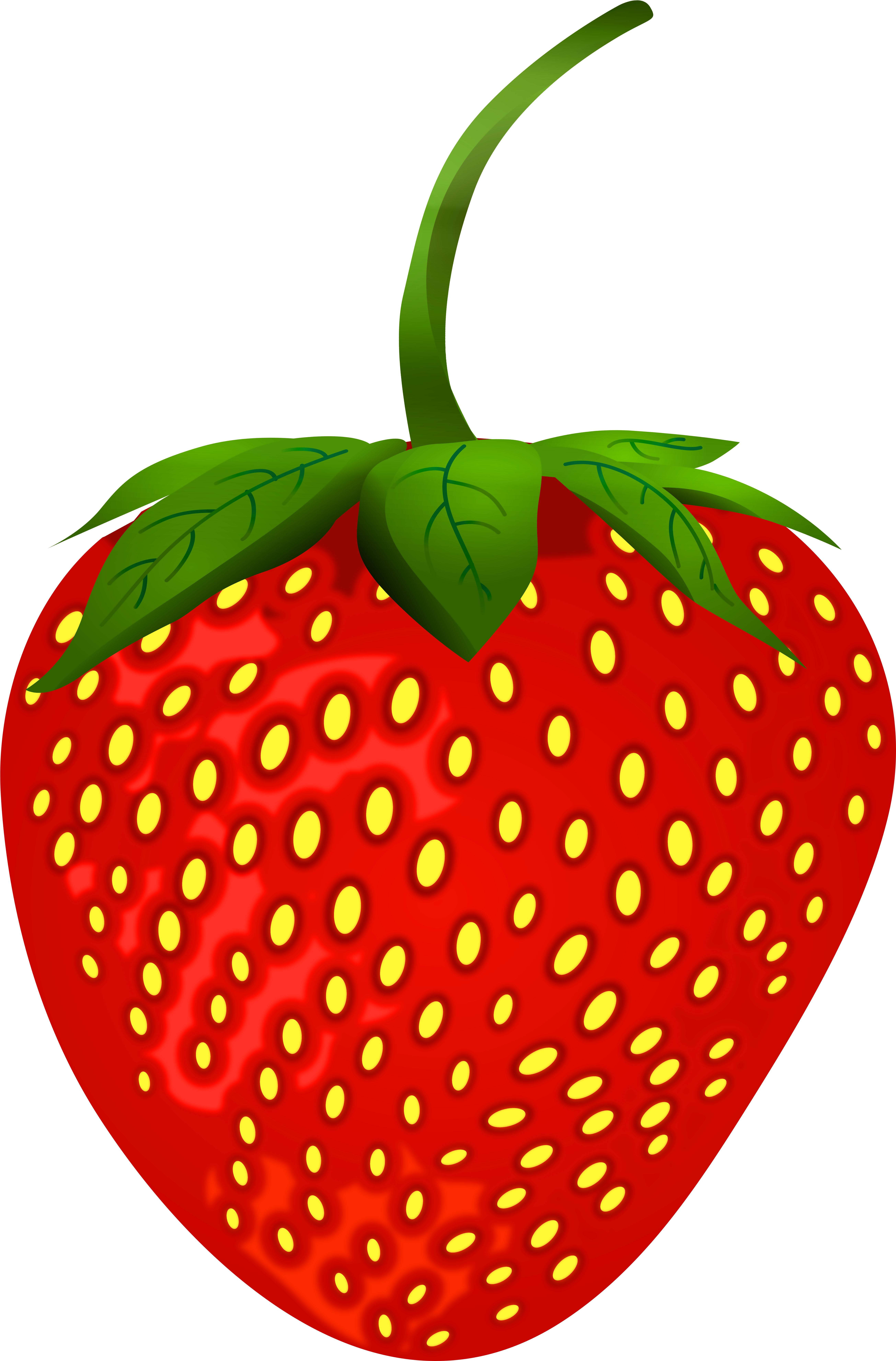 Strawberry Png Clip Art - Strawberry Png Clipart (5295x8000), Png Download