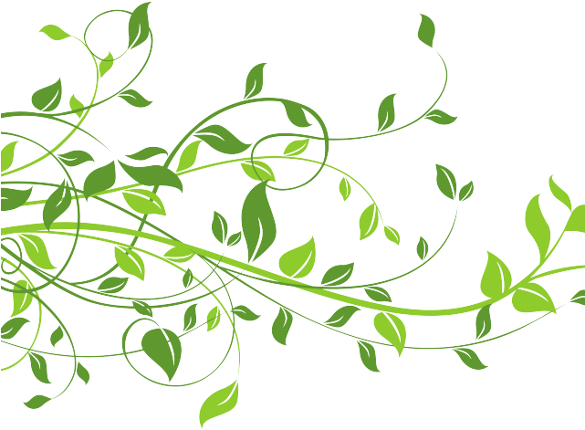 Leaves Clipart Frame Png - Light In The Window Mitford Years (640x480), Png Download