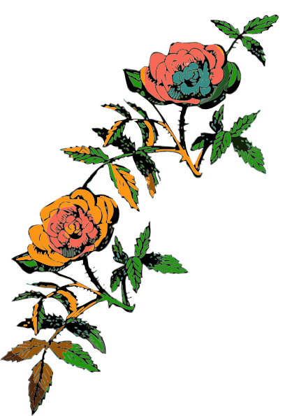 This Free Clipart Png Design Of Roses Clipart Has - Rose Png Clipart (408x595), Png Download