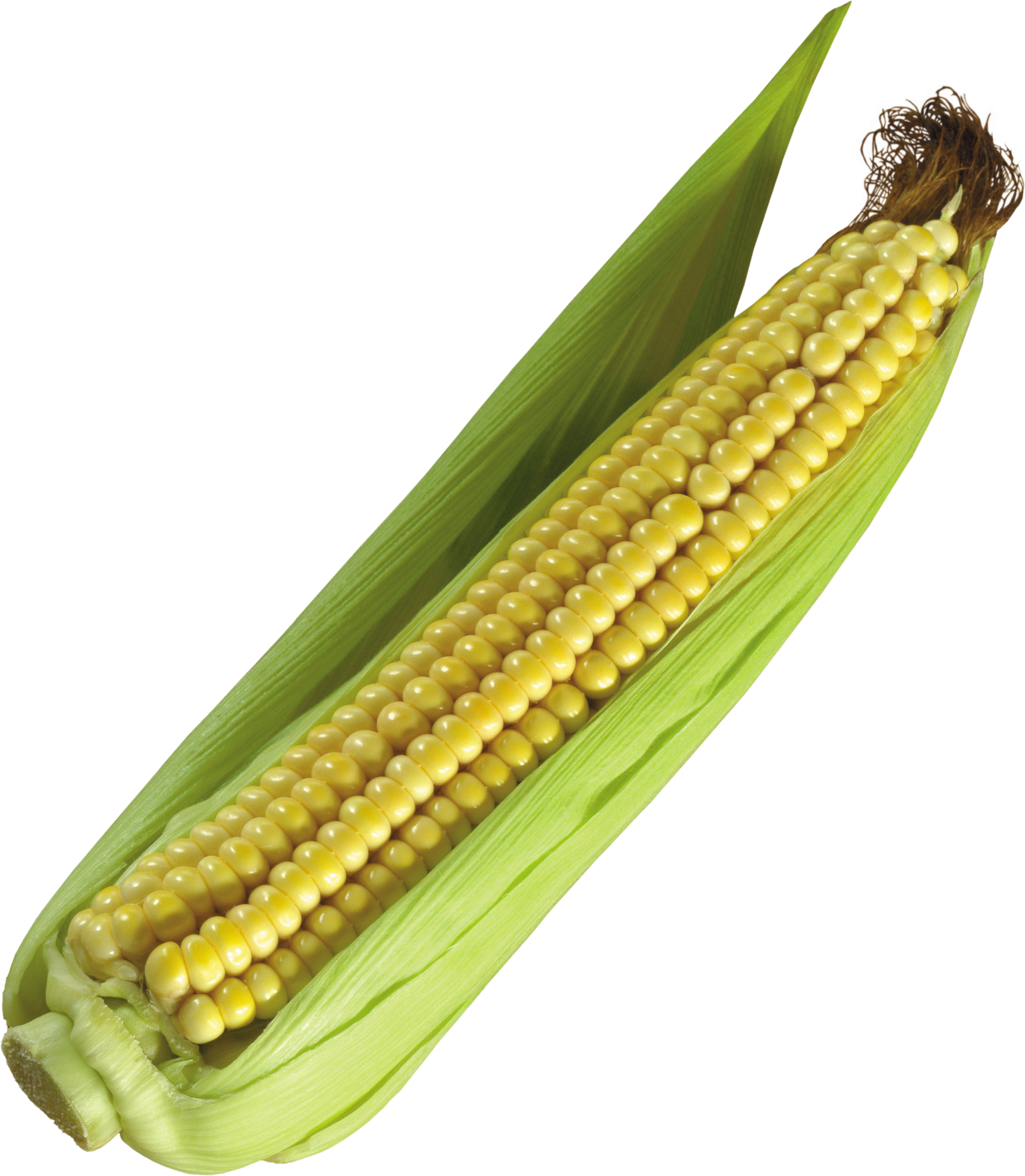 Corn Clipart Png Photos - Кукуруза На Прозрачном Фоне (3534x4057), Png Download