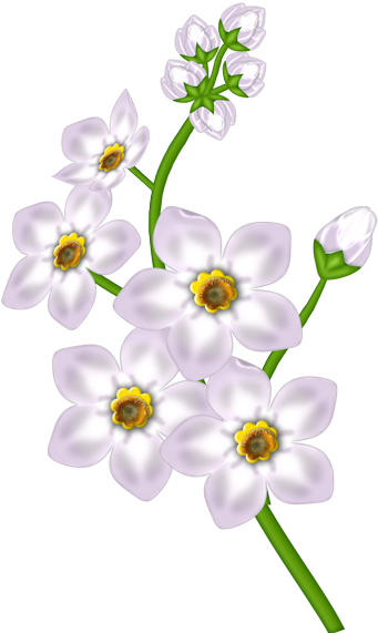 This Png Image - Clip Art (600x600), Png Download