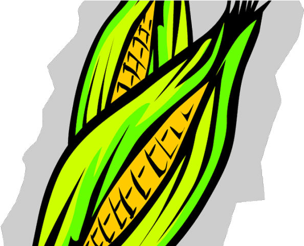 Corn Clipart Fruit - Maize (640x480), Png Download
