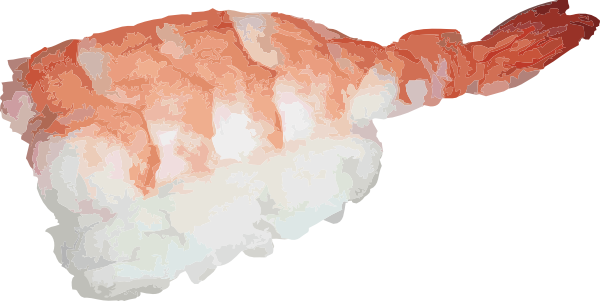 Ebi Sushi Png (600x301), Png Download