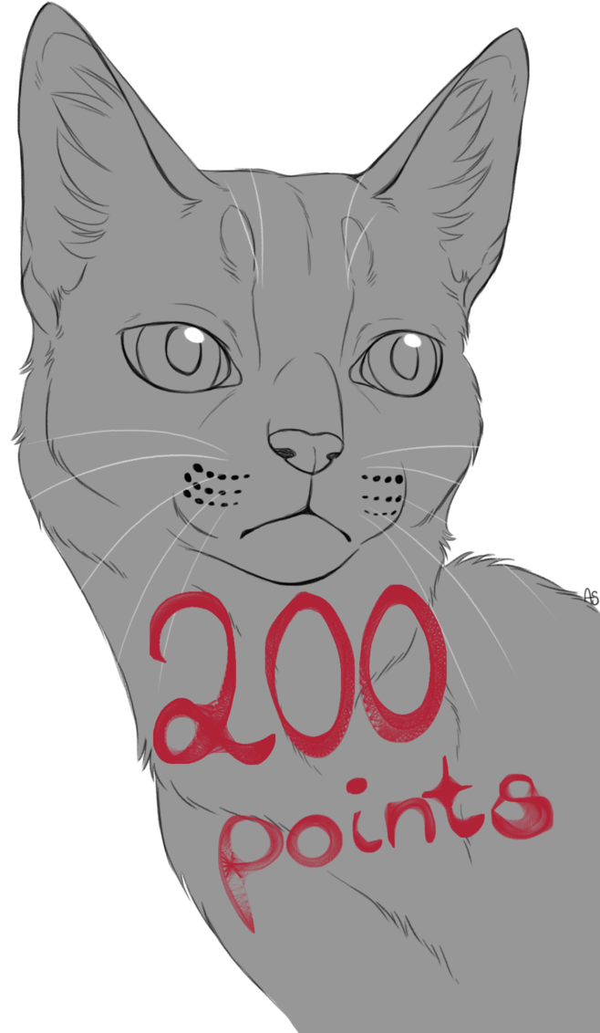 Pin By Ellie On Cat Drawing - Face (657x1217), Png Download