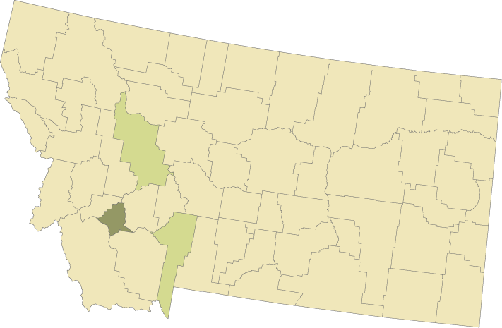 Legend - Idaho - Home State- Gray On White - Lantern Press Artwork (711x465), Png Download
