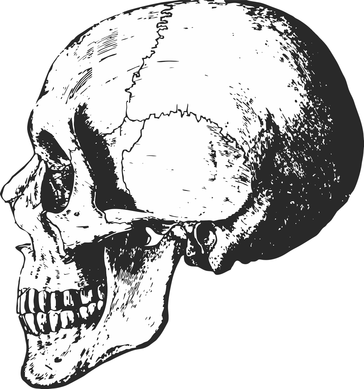 Black And White Skeleton Skull (1199x1280), Png Download