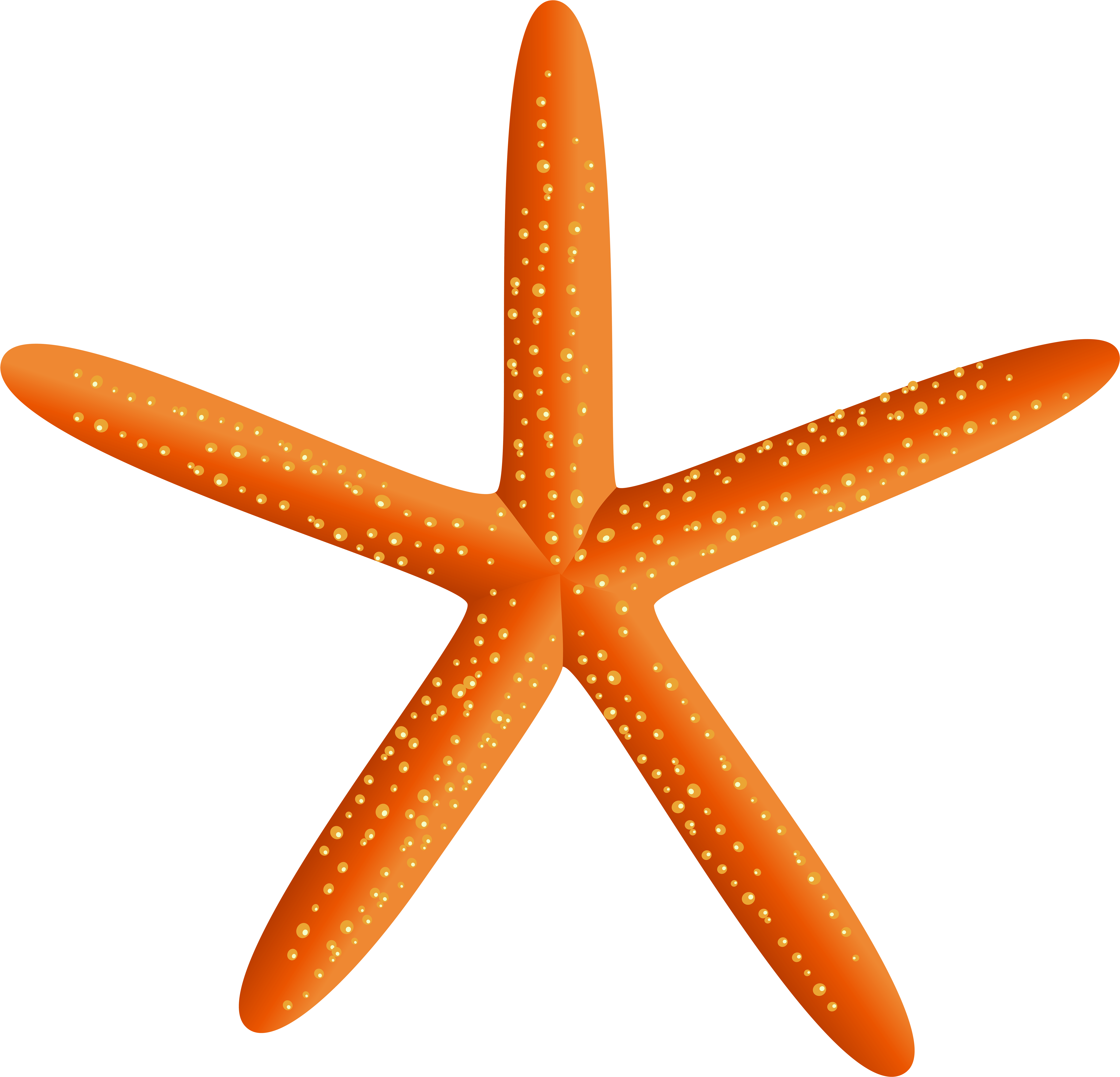 Starfish Silhouette Png (8000x7672), Png Download