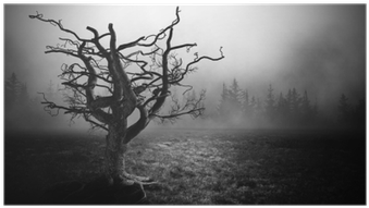 Graphics (400x400), Png Download