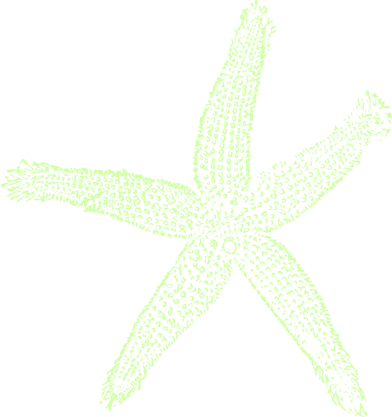 Single Starfish Clipart Png For Web - Private Listing For Pam 2 Pair Custom Angela Style (564x599), Png Download