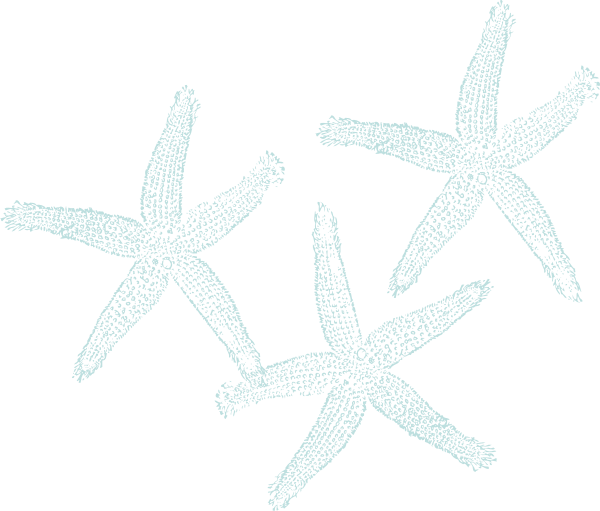 Starfish Clipart Three - Private Listing For Pam 2 Pair Custom Angela Style (600x511), Png Download
