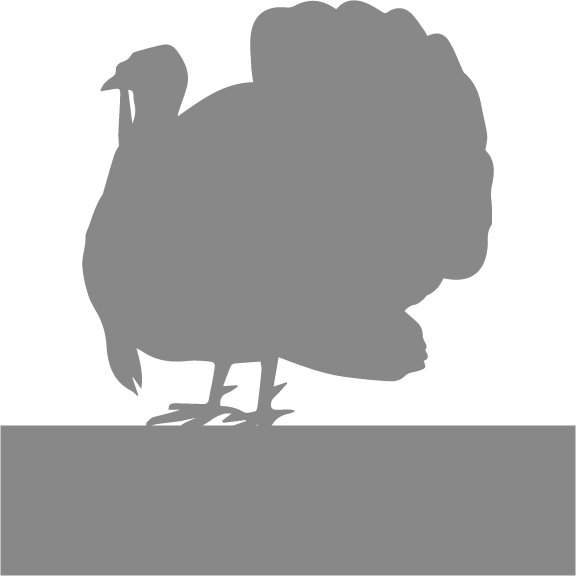 Turkey - Wild Turkey (576x576), Png Download