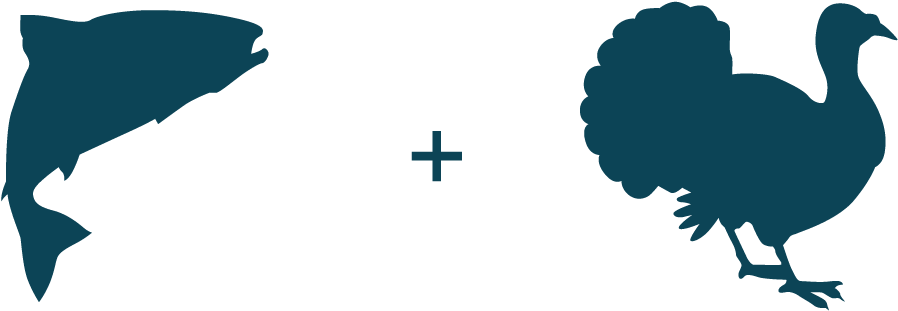 Wild Salmon Turkey - Cat (1333x521), Png Download