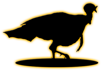 Turkey - Film (400x400), Png Download