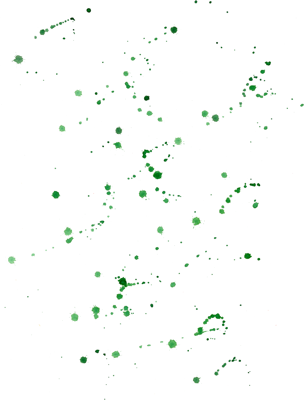 Report Abuse - Watercolor Painting (1024x1353), Png Download