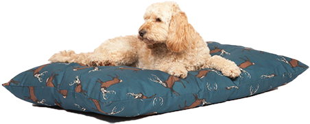Luxury Dog Beds Uk - Cockapoo On A Bed (549x455), Png Download