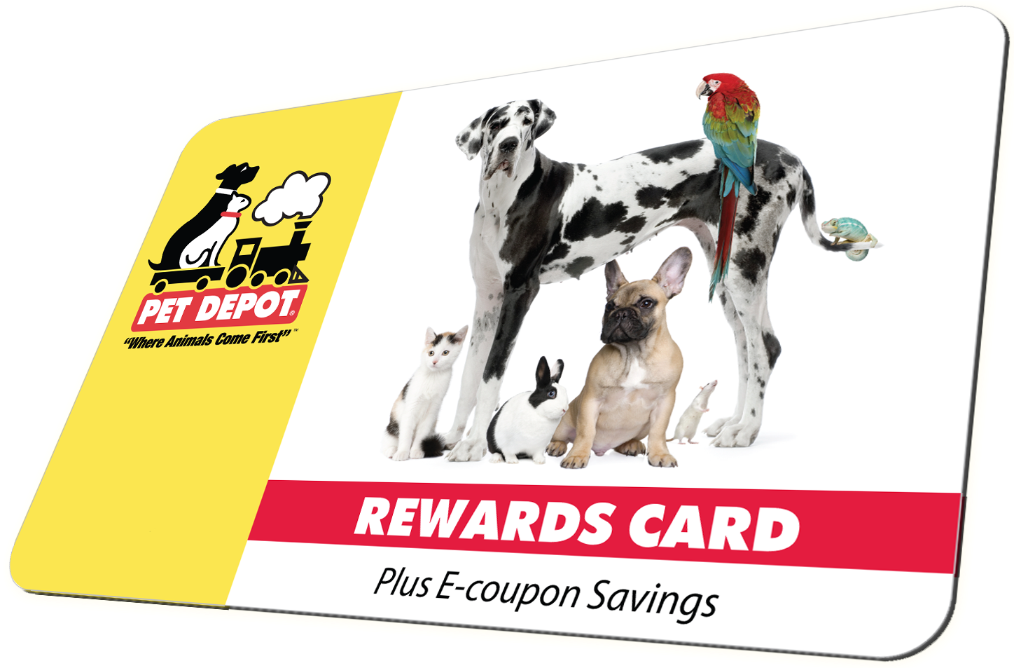 Store Hours - Group Of Pets Standing In Front Of W Throw Blanket (1510x952), Png Download