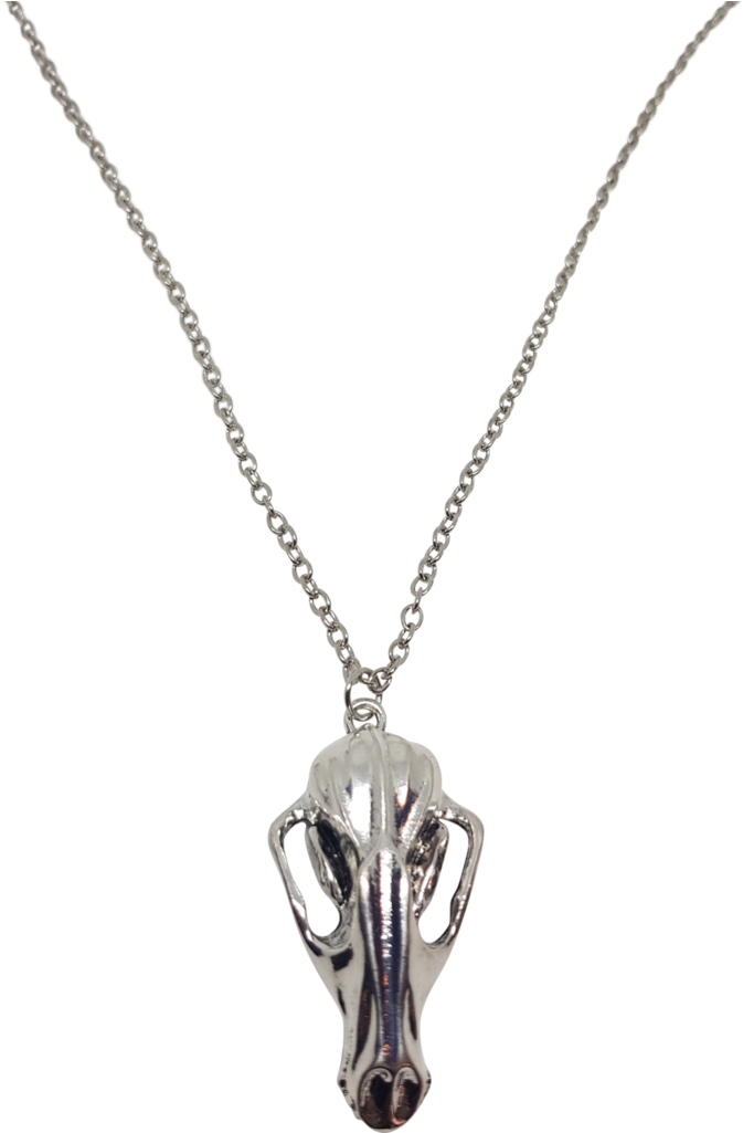 Wolf Skull Necklace - Odd Mountain Oddities (683x1024), Png Download