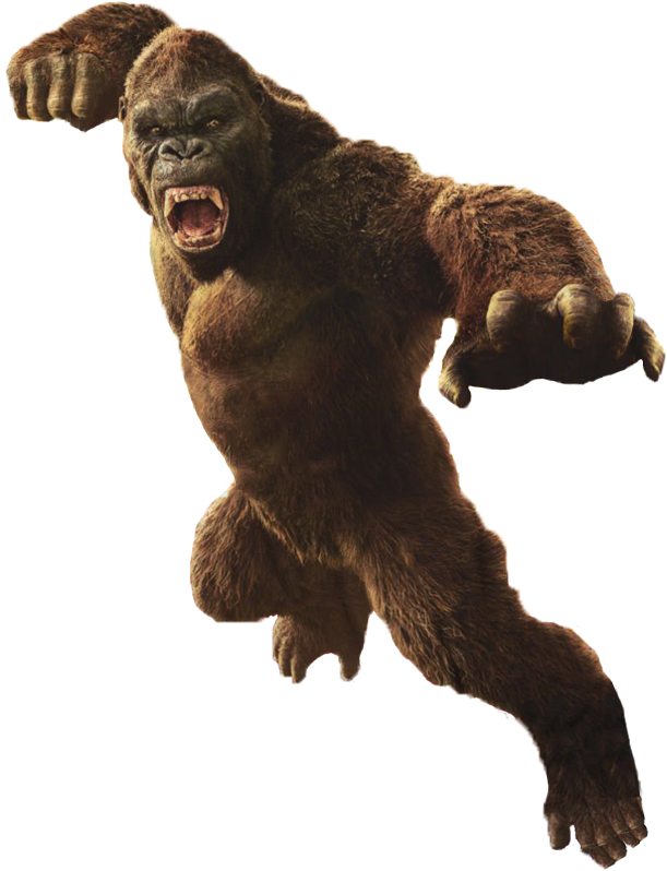 Download Hd Download Download Png Kong Skull Island Kong Png Transparent Png Image Nicepng Com