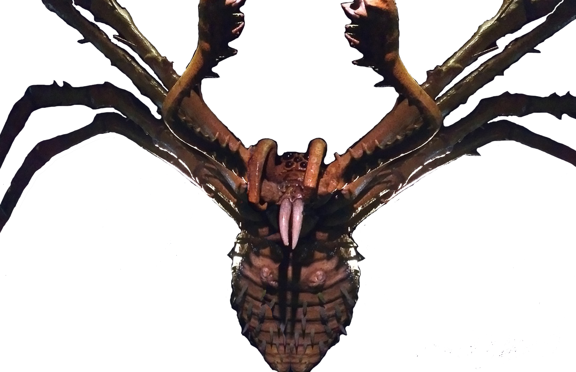 Motherlongless - Kong Skull Island Mother Longlegs (1920x1242), Png Download