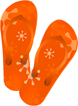 Chancla Torcida Summer - Types Of Placentation In Plants (279x450), Png Download