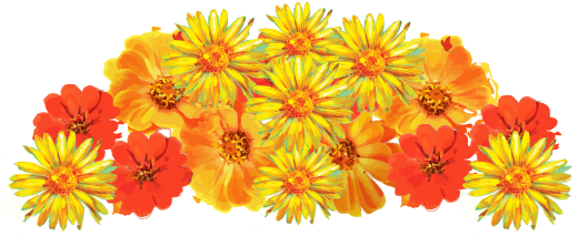 Boiron Medicinal Garden - Medicine (585x252), Png Download