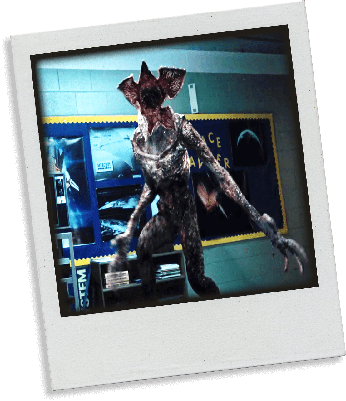 Click To See Redacted Info - French Bulldog (1108x1286), Png Download