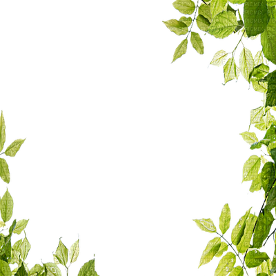 Leaves Green Frame - Leaves Frame Png (400x400), Png Download