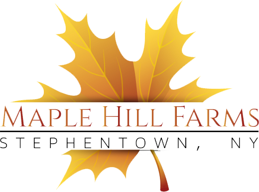 Thanksgiving Background Png (520x385), Png Download