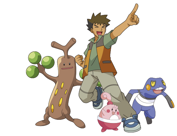 Groagunk - Happiny - Sudowoodo - Pokemon Anime Brock Takeshi Cosplay Costume Costome (599x461), Png Download