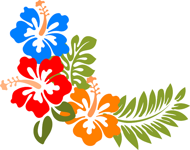 Imagem Relacionada - Black And White Hawaiian Flower (640x504), Png Download