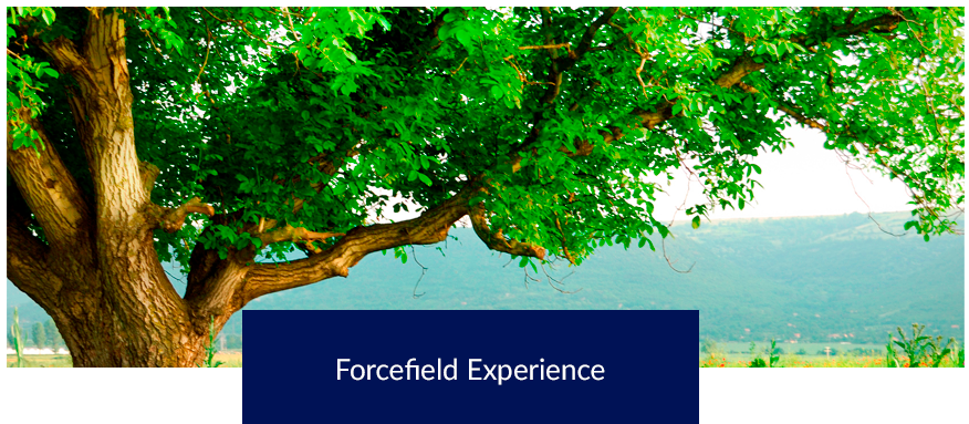 » Forcefield Experience - Да Благословит Тебя Бог (960x382), Png Download