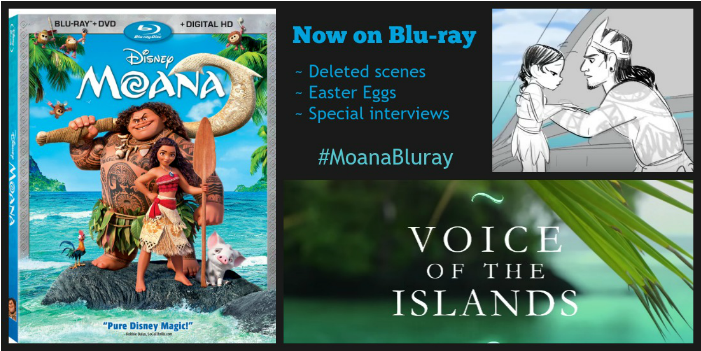 Moana On Bluray - Walt Disney Moana Blu-ray Dvd Combo Set (1100x550), Png Download