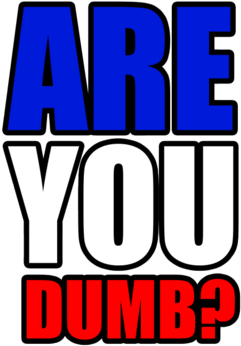 "are You Dumb" - Blog (674x518), Png Download