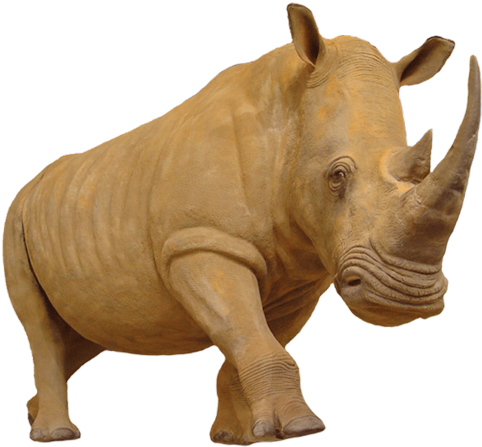 Rhinoceros Png Photo - Elephant (660x462), Png Download