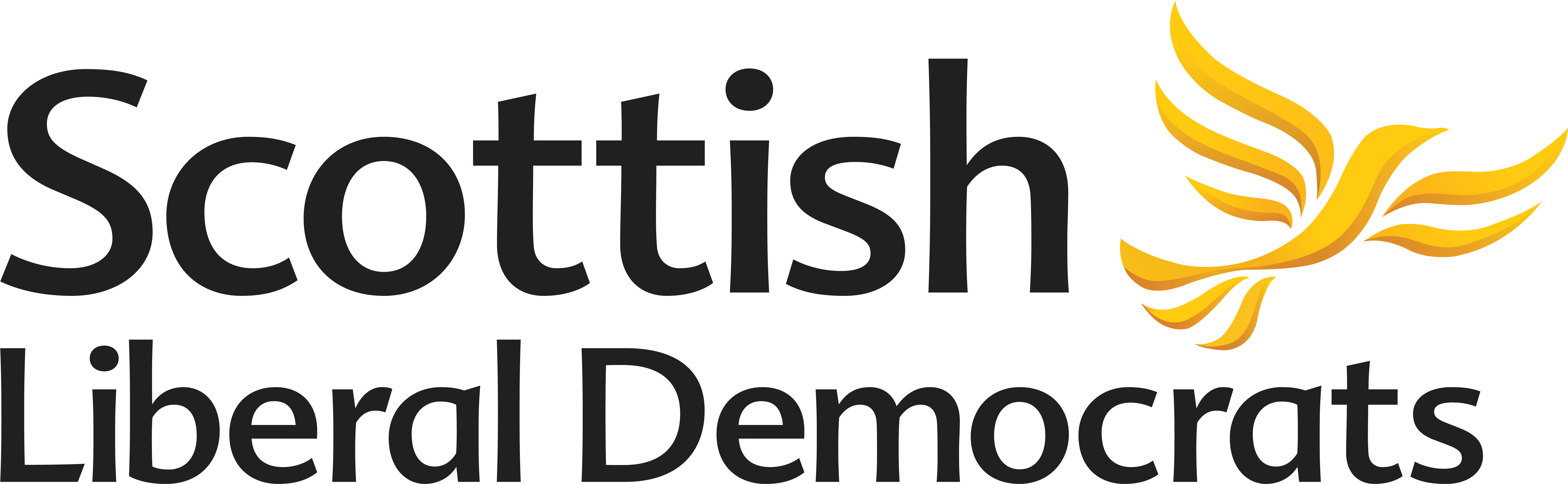 Christine Jardine Mp - Scottish Liberal Democrats Facts (8333x3098), Png Download