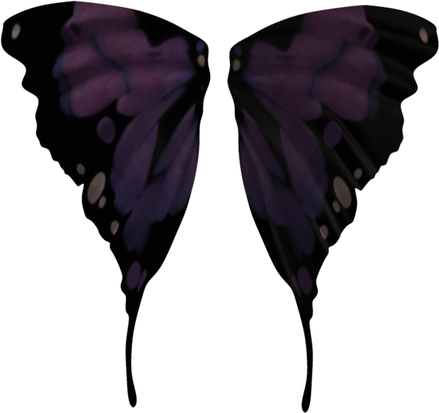 Fairy Wings 02 By Wolverine041269-d5uqj93 - Black Fairy Wings Png (1024x639), Png Download