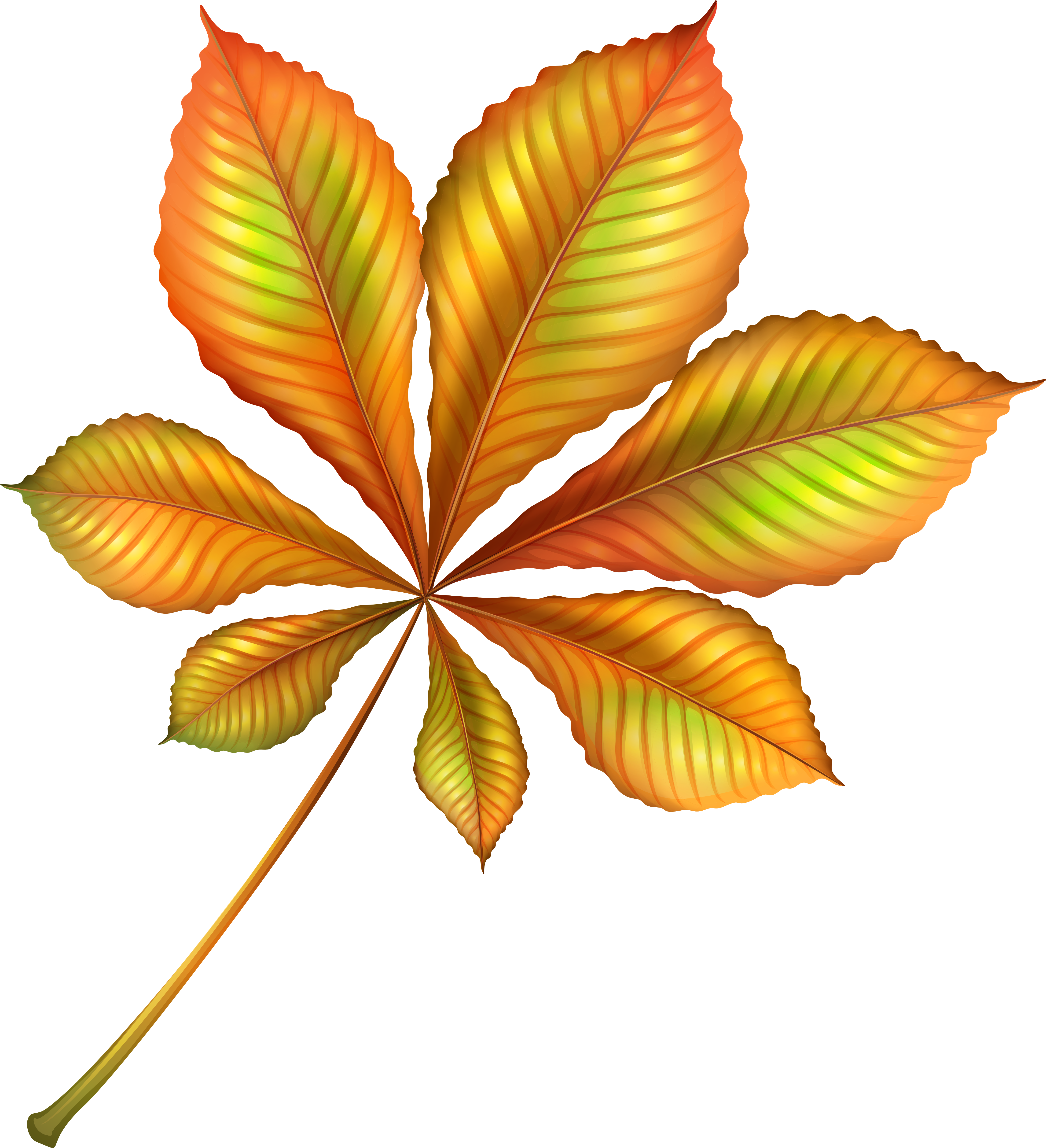 Orange Leaves Clipart (4647x5154), Png Download