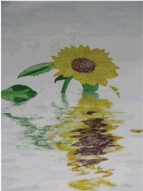 Sun-flower Reflection - Gerbera (500x374), Png Download