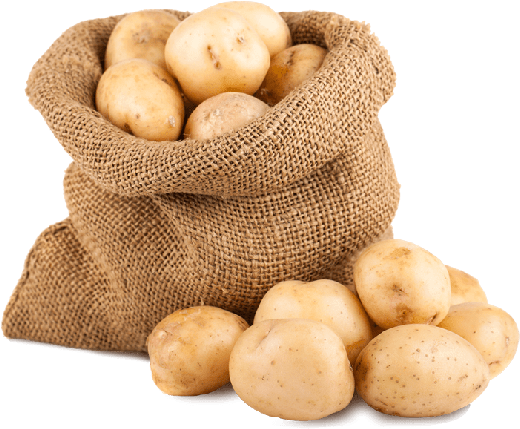 Let's Make A Game Name - Sack Of Potatoes Png (519x519), Png Download
