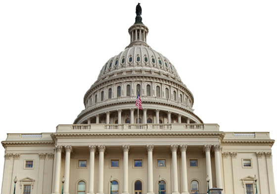 Infestations That Affect Government Buildings Will - U.s. Capitol (560x394), Png Download