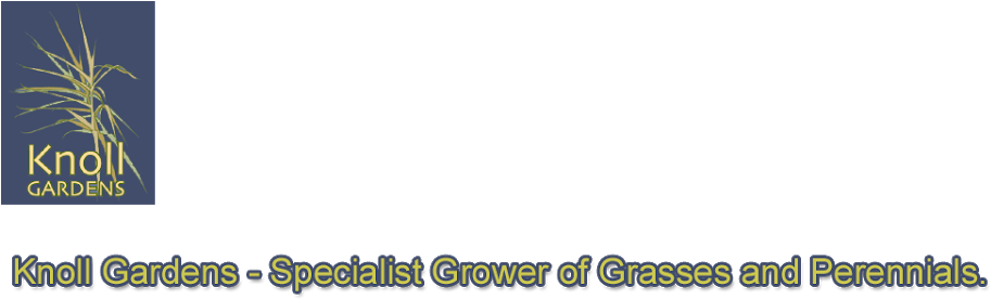 Knoll Gardens Blog - Blog (960x291), Png Download