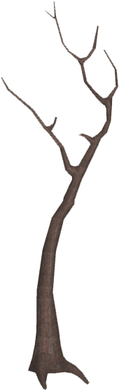 Dead Tree 5 - Illustration (554x554), Png Download