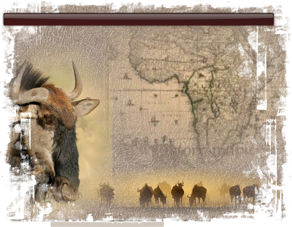 Africa - (1688) - Panoramic Map (16x13.5 Giclee Art (1019x793), Png Download