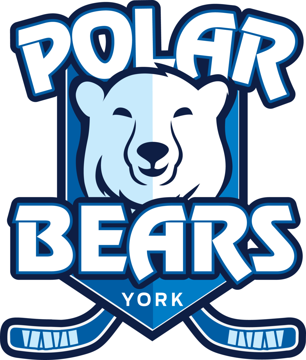 Polar Bear Png (1000x1179), Png Download