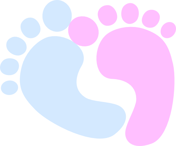 Small - Baby Feet Blue And Pink (600x498), Png Download