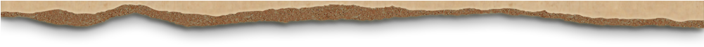 Salmon River Resort - Portable Network Graphics (1000x430), Png Download
