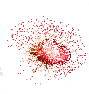 New Years Fireworks Png Browse > Holiday & Seasonal - Feu D Artifice Rouge Png (376x400), Png Download
