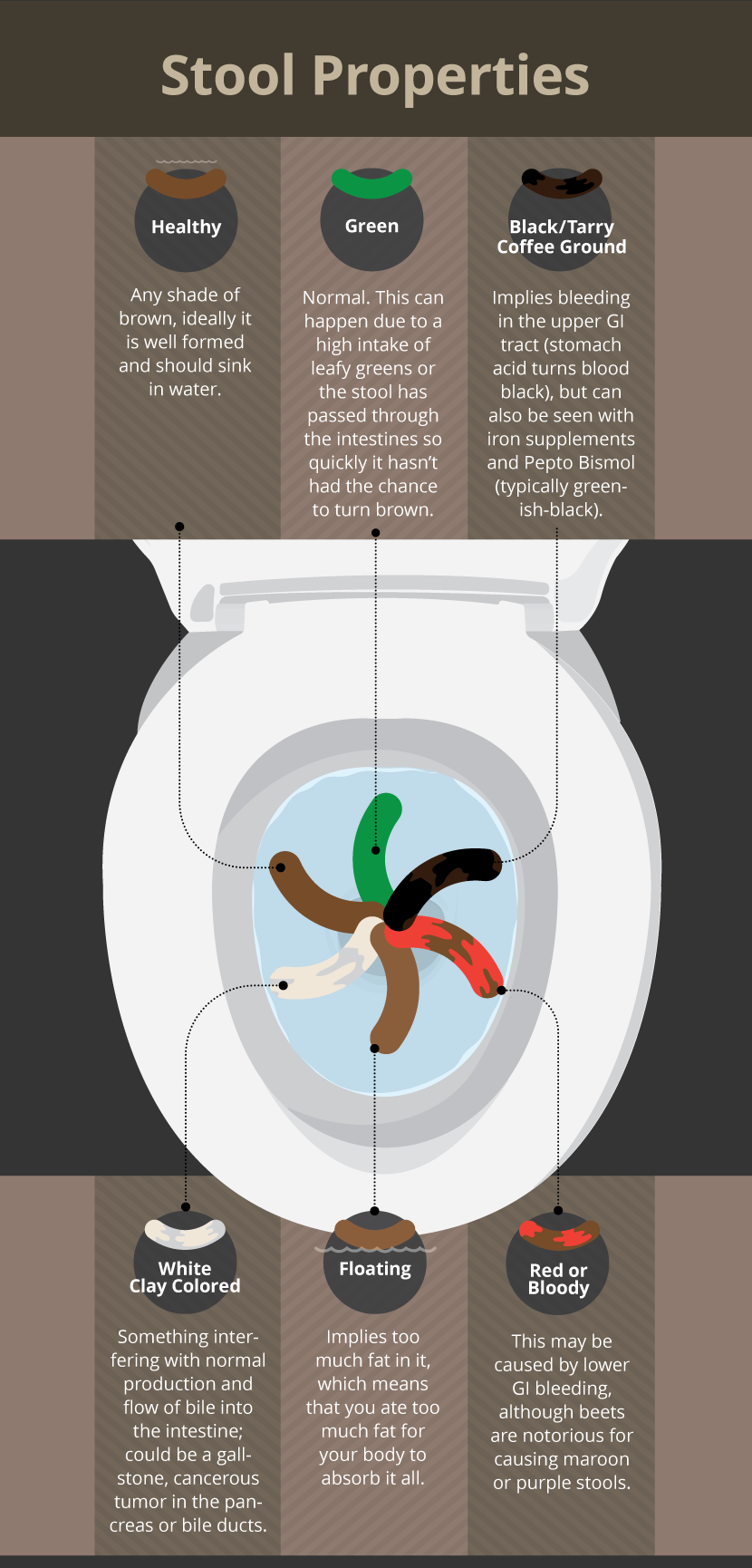 Stool Properties - Toilet Talk - My Stool So Dark (830x1730), Png Download
