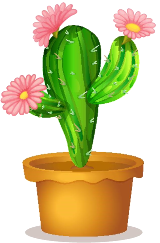 Graphic Black And White Library Cactaceae Succulent - Cactus Flower Clipart (673x1000), Png Download