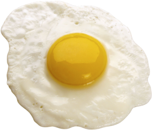 Food (500x443), Png Download